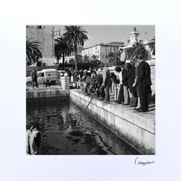 Passe-Partout - Pêche à la crevette dans le vieux port, Ajaccio