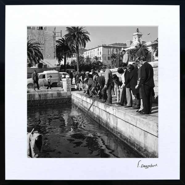 Passe-Partout - Pêche à la crevette dans le vieux port, Ajaccio – Image 2