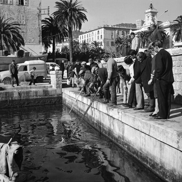 Photo de pêche à la crevette au vieux port d'Ajaccio
