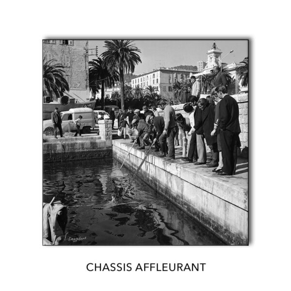 Photo de pêche à la crevette au vieux port d'Ajaccio – Image 12