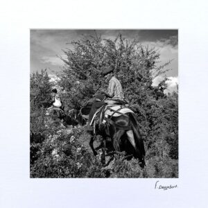 Passe-Partout - Extraction du liège, Corte