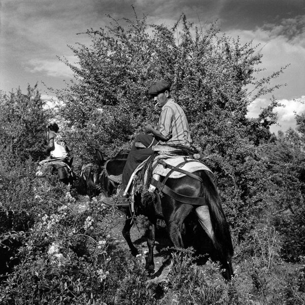 Photo d'extraction de liège en Corse