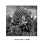Châssis affleurant