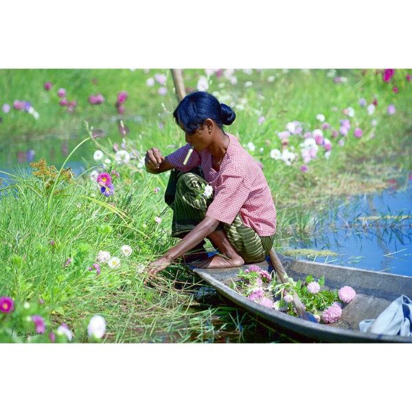 Photo : La femme au cigare - Birmanie Myanmar