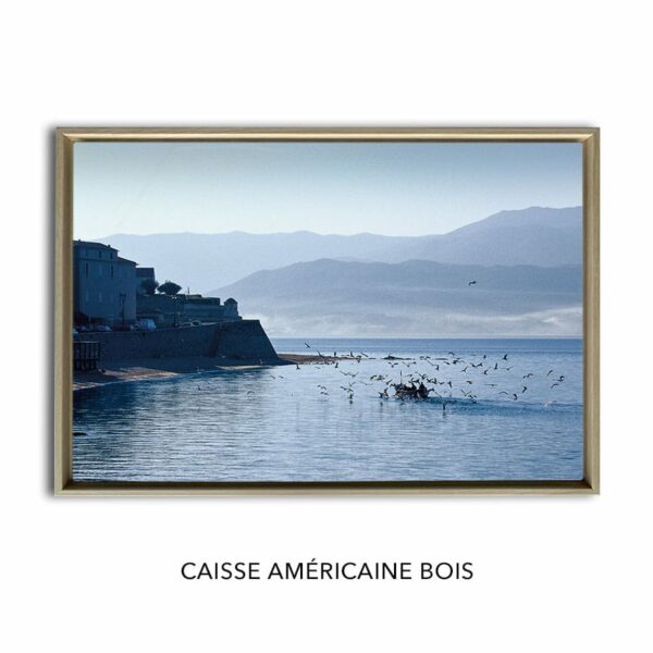 Photo de pêcheur pointu à la citadelle d'Ajaccio en Corse – Image 11