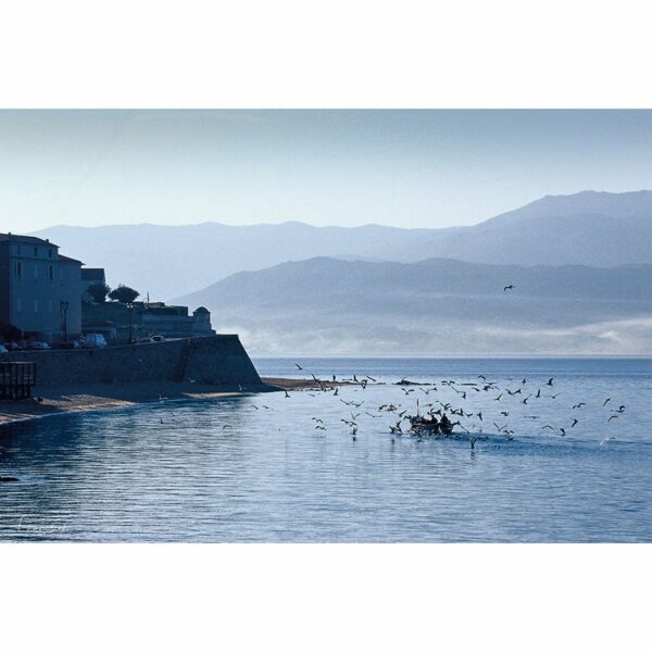 Photo de pêcheur pointu à la citadelle d'Ajaccio en Corse