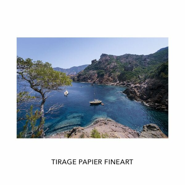 Photo de voiliers dans l'anse d'Elbo en Corse – Image 10