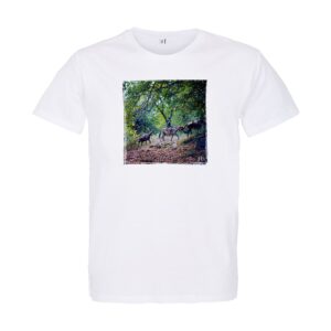 T-Shirt Unisexe |  Les Muletiers en Castagniccia, Corse