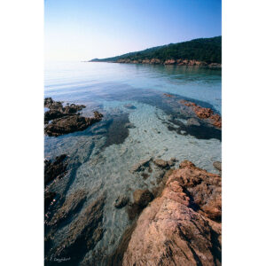 Photo de la plage de Piccovaggia en Corse