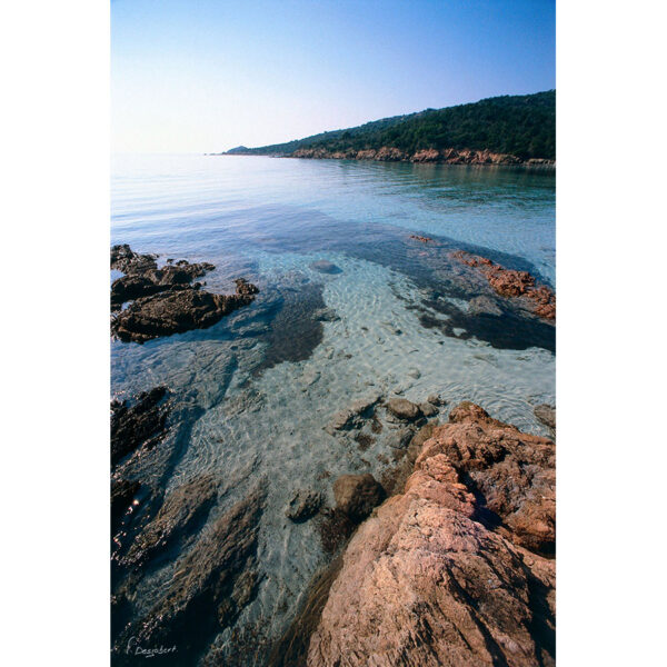 Photo de la plage de Piccovaggia en Corse