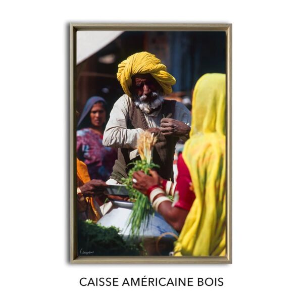 Photo d'un vieil homme jodhpur en Inde – Image 11