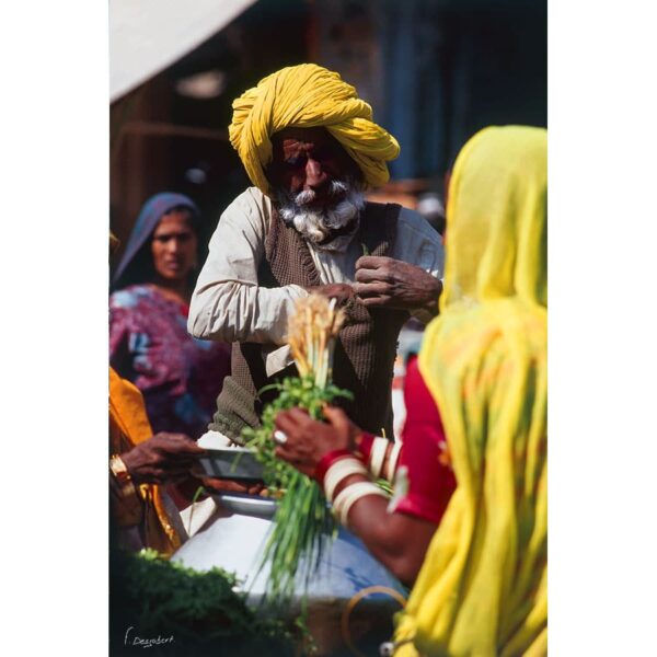 Photo d'un vieil homme jodhpur en Inde