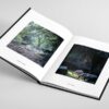 Livre de photos de Corse : 50 années en images – Image 14